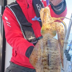 シースナイパー海龍 釣果