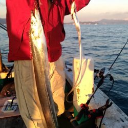 小島丸 釣果