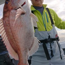 だて丸 釣果