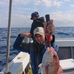 だて丸 釣果