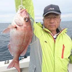 ARCADIAⅡ (アルカディアⅡ) 釣果