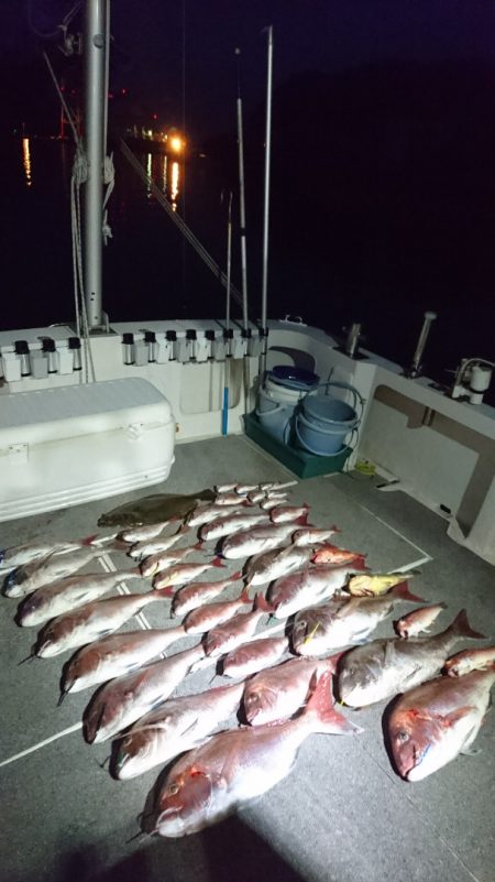 ARCADIAⅡ (アルカディアⅡ) 釣果