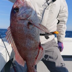 だて丸 釣果