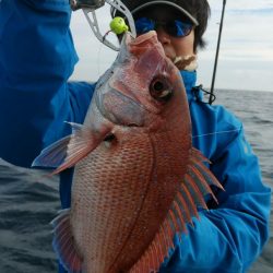 新幸丸 釣果