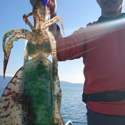 シースナイパー海龍 釣果