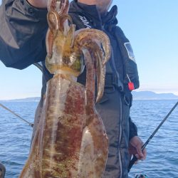 シースナイパー海龍 釣果