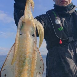 シースナイパー海龍 釣果