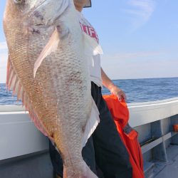 だて丸 釣果