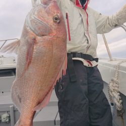 だて丸 釣果