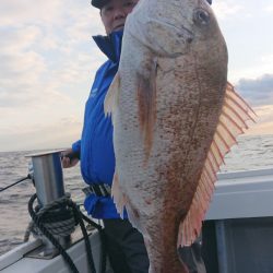だて丸 釣果