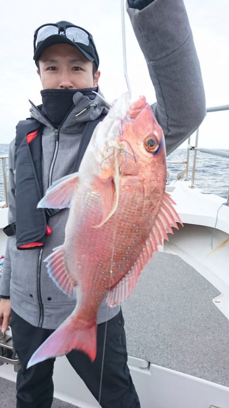 ARCADIAⅡ (アルカディアⅡ) 釣果