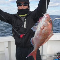 ARCADIAⅡ (アルカディアⅡ) 釣果