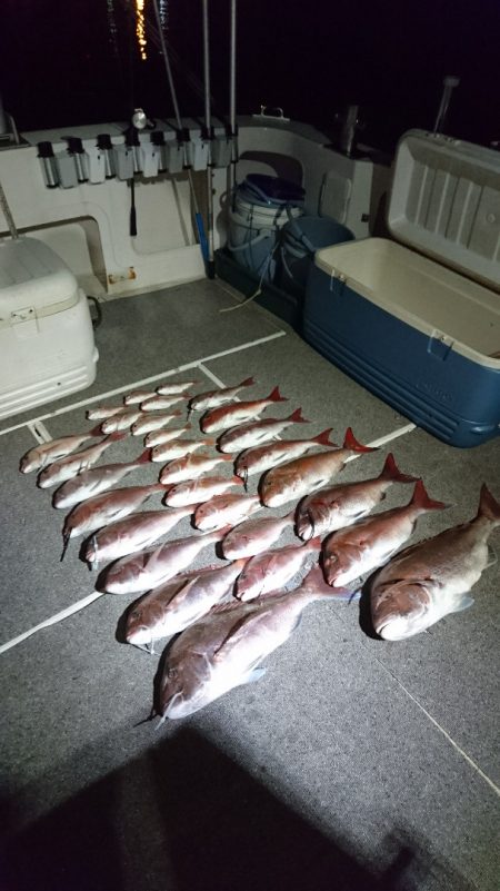 ARCADIAⅡ (アルカディアⅡ) 釣果