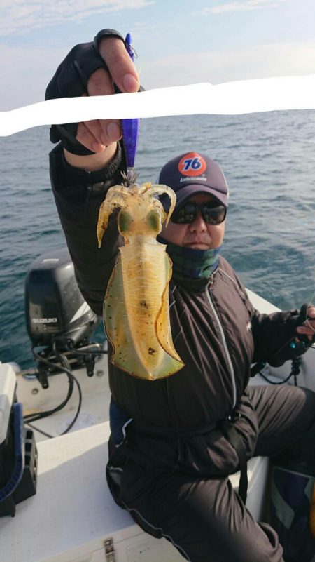 きずなまりん 釣果