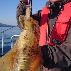 シースナイパー海龍 釣果