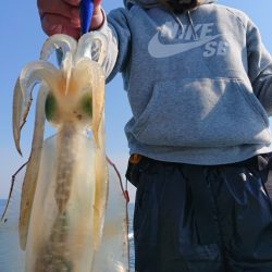 シースナイパー海龍 釣果