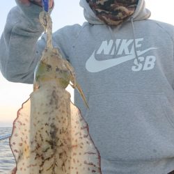 シースナイパー海龍 釣果