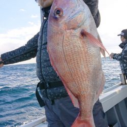 だて丸 釣果