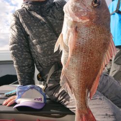 だて丸 釣果