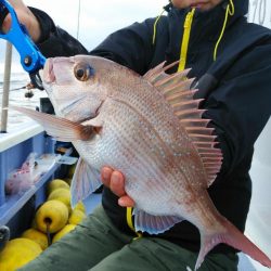 新幸丸 釣果