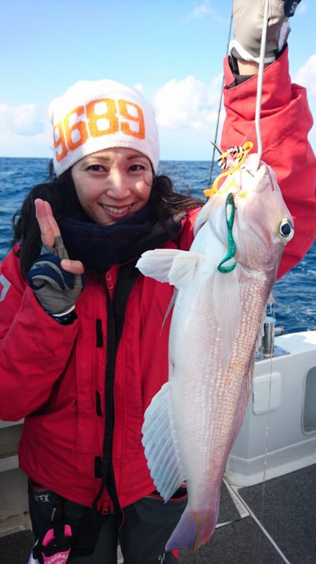 ARCADIAⅡ （アルカディアⅡ） 釣果