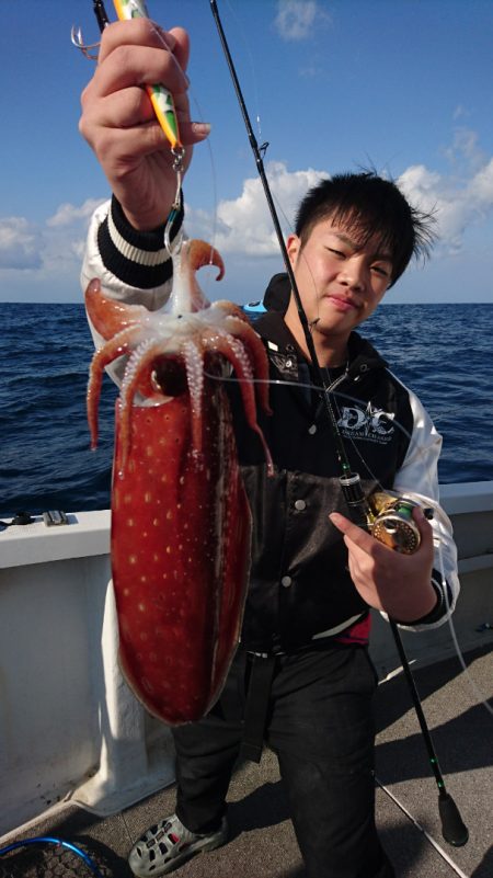 ARCADIAⅡ （アルカディアⅡ） 釣果