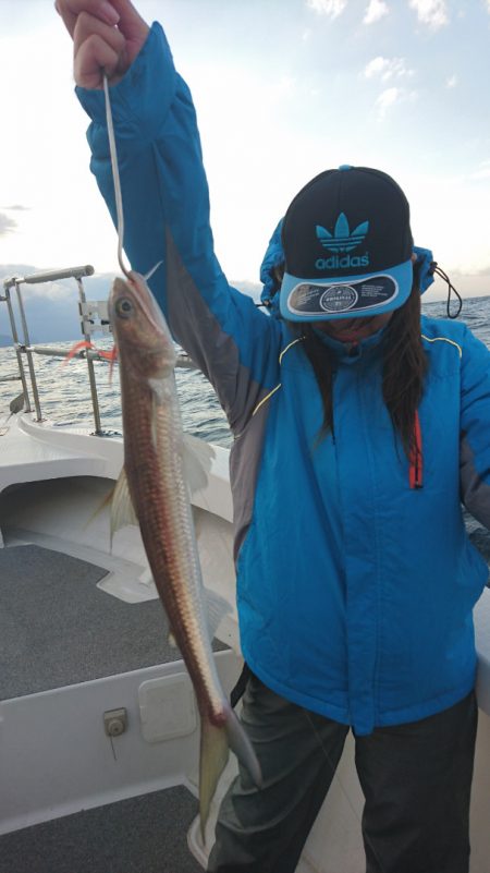 ARCADIAⅡ （アルカディアⅡ） 釣果