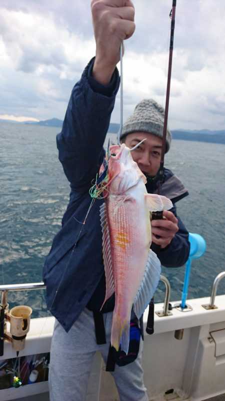 ARCADIAⅡ （アルカディアⅡ） 釣果