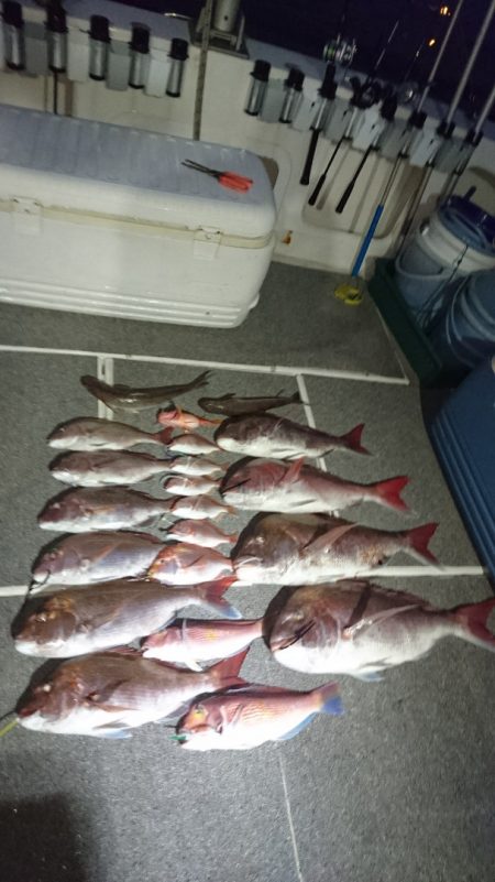 ARCADIAⅡ （アルカディアⅡ） 釣果