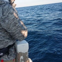海皇丸 釣果