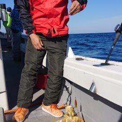 海皇丸 釣果
