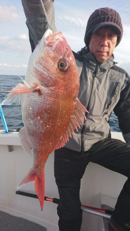 ARCADIAⅡ （アルカディアⅡ） 釣果