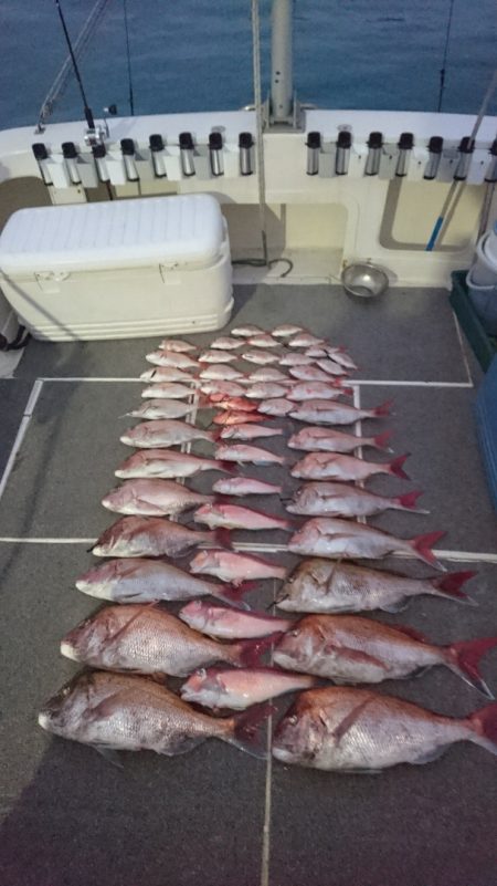 ARCADIAⅡ （アルカディアⅡ） 釣果…