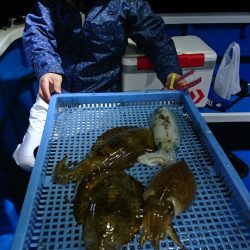 第三共栄丸 釣果