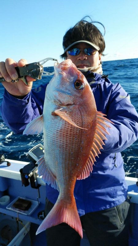 新幸丸 釣果