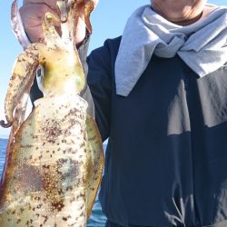 シースナイパー海龍 釣果