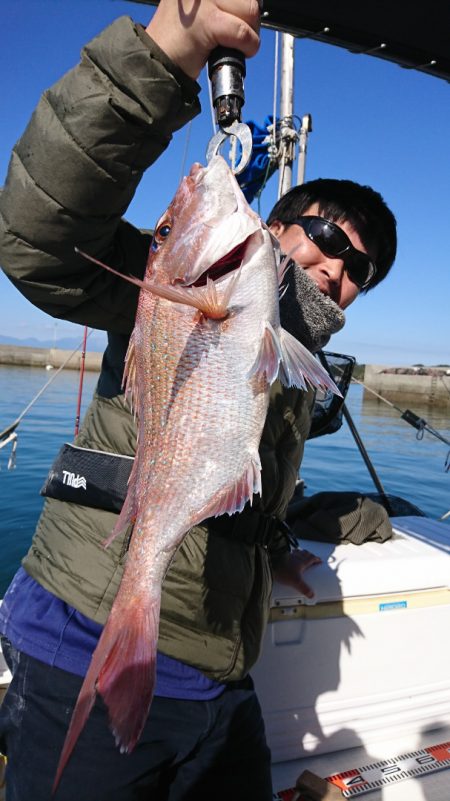 遊漁船 家入 釣果