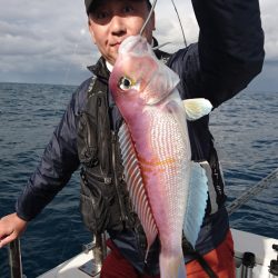 ARCADIAⅡ （アルカディアⅡ） 釣果