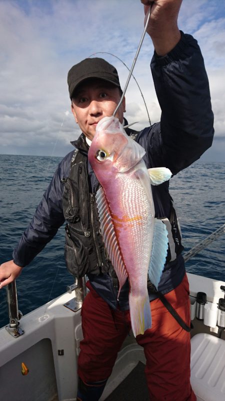 ARCADIAⅡ （アルカディアⅡ） 釣果