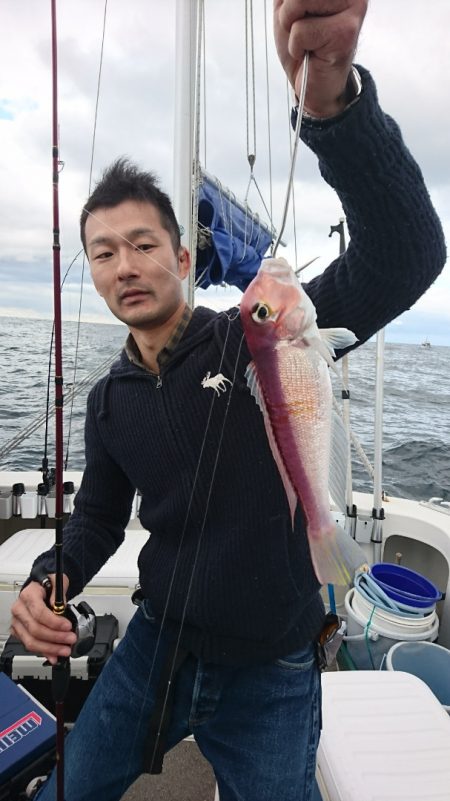 ARCADIAⅡ （アルカディアⅡ） 釣果