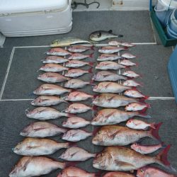 ARCADIAⅡ （アルカディアⅡ） 釣果