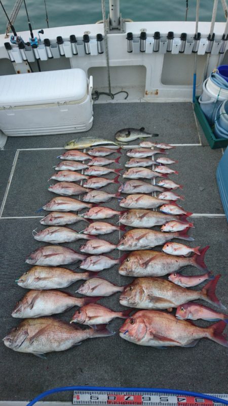 ARCADIAⅡ （アルカディアⅡ） 釣果