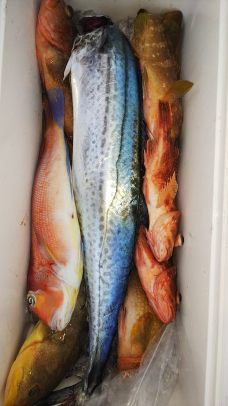 第二龍勢丸 釣果