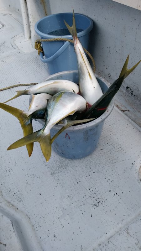 LUSTER『ラスター』 釣果