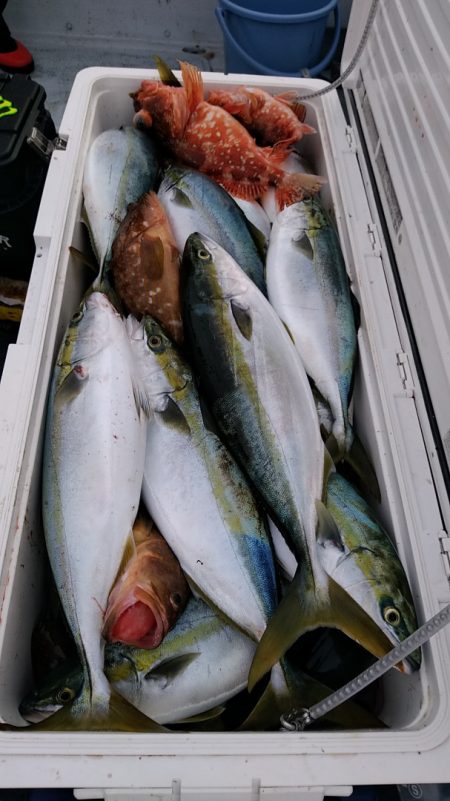 LUSTER『ラスター』 釣果