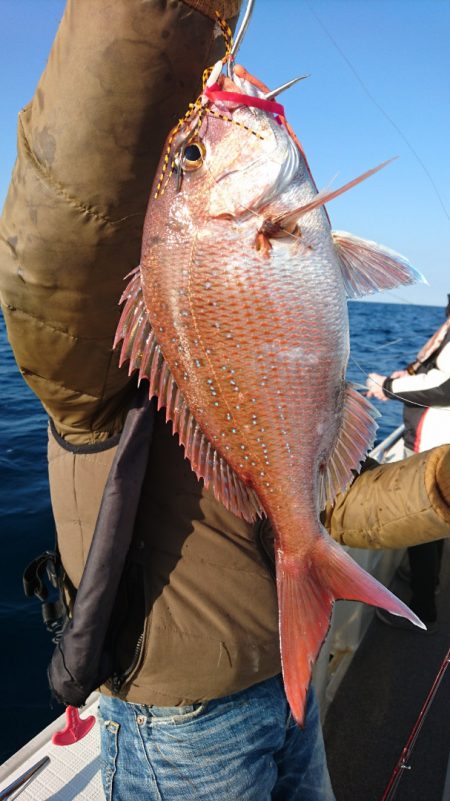 ARCADIAⅡ (アルカディアⅡ) 釣果