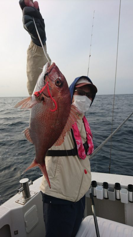 ARCADIAⅡ (アルカディアⅡ) 釣果