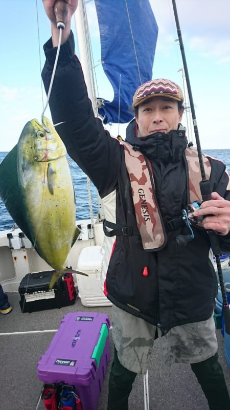 ARCADIAⅡ (アルカディアⅡ) 釣果