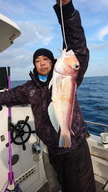 ARCADIAⅡ （アルカディアⅡ） 釣果…