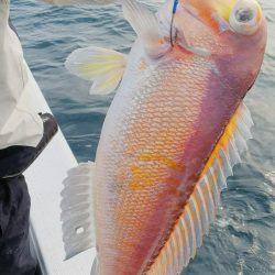 第二龍勢丸 釣果